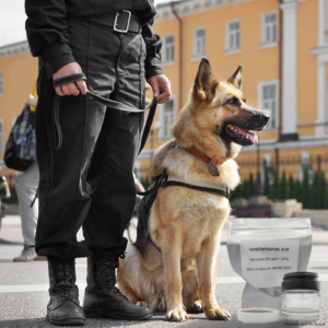a german shepard dog sitting on the ground next to a man