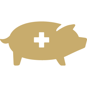 a pig with a cross on it's back